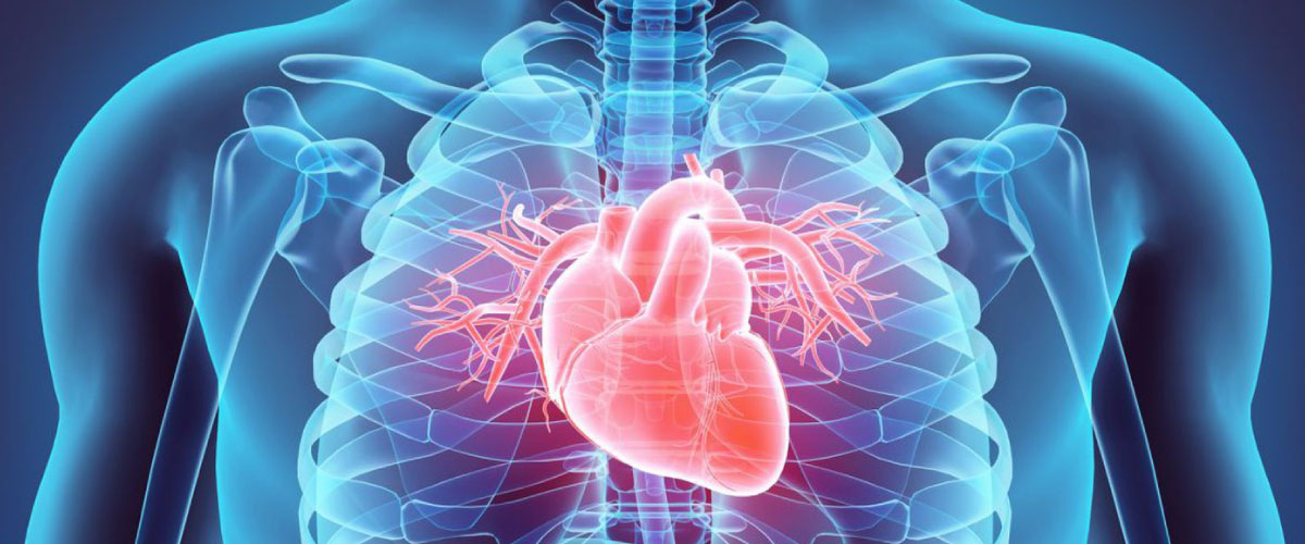 Cardiology
